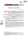 Vista preliminar de documento OPINION_0111-2023-DGPA