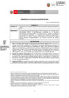 Vista preliminar de documento OPINION_0135-2023-DGPA