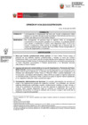 Vista preliminar de documento OPINION_0136-2023-DGPA