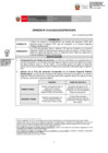 Vista preliminar de documento OPINION_0142-2023-DGPA