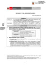 Vista preliminar de documento OPINION_0155-2023-DGPA
