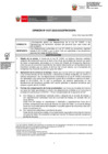 Vista preliminar de documento OPINION_0157-2023-DGPA