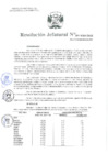 Vista preliminar de documento Resolución Jefatural Nº 301-2024-INEI