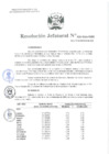 Vista preliminar de documento Resolución Jefatural Nº 302-2024-INEI