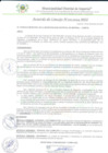 Vista preliminar de documento AC_118_2024_MDI