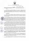 Vista preliminar de documento RDR N°001-2025-03-01-2025