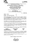 Vista preliminar de documento R.E.E.A.A 451-2024-22-11-2024