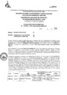 Vista preliminar de documento R.E.E.A.A 454-2024-27-11-2024
