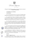 Vista preliminar de documento DS N° 021-2024-EM
