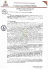 Vista preliminar de documento ACM325-2024