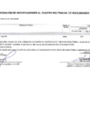 Vista preliminar de documento MODIFICACION291-2024-CMN