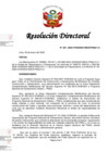 Vista preliminar de documento RD 001-2025