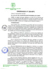 Vista preliminar de documento ORDENANZA 259