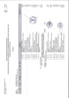 Vista preliminar de documento Anexo - Parte II