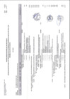 Vista preliminar de documento Anexo - Parte VIII