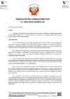 Vista preliminar de documento Resolución