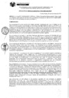 Vista preliminar de documento Resolución de Gerencia Municipal N°0295-2024 MDPP