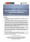 Vista preliminar de documento BS OBP N°01 2025