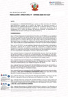 Vista preliminar de documento RESOLUCIÓN  DIRECTORAL-000002-2025-DG