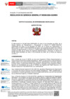 Vista preliminar de documento RESOLUCION DE GERENCIA GENERAL-000339-2024-GG