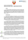 Vista preliminar de documento RD Nº D000001-2025-DE