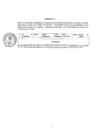 Vista preliminar de documento Reporte denuncias (octubre-diciembre)