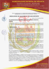 Vista preliminar de documento RESOLUCION DE ALCALDIA N° 169-2024-MDV