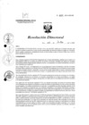 Vista preliminar de documento R.D. 623-2024