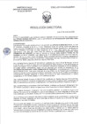 Vista preliminar de documento RD-0007-2025-DSAIA-DIRIS-LE/MINSA
