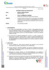 Vista preliminar de documento 1_6A Informe DAP QUIRUVILCA