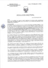 Vista preliminar de documento RD-0011-2025-DSAIA-DIRIS-LE-MINSA