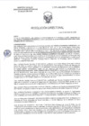 Vista preliminar de documento RD-0013-2025-DSAIA-DIRIS-LE/MINSA
