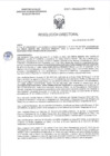 Vista preliminar de documento RD-0015-2025-DSAIA-DIRIS-LE/MINSA