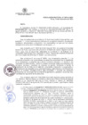Vista preliminar de documento 876-R-2024_25112024100822