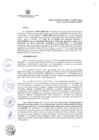Vista preliminar de documento 875-R-2024_21112024120006