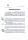 Vista preliminar de documento R.D 245-2024-DG