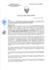 Vista preliminar de documento RD-0030-2025-DSAIA-DIRIS-LE-MINSA