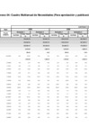Vista preliminar de documento Cuadro Multianual de Necesidades 2025-2027 Sunarp Zona Registral N.° XI