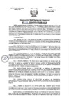 Vista preliminar de documento Resolucion Subgerencial N°133-2024