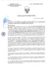 Vista preliminar de documento RD-0038-2025-DSAIA-DIRIS-LE-MINSA