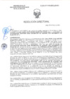 Vista preliminar de documento RD-0040-2025-DSAIA-DIRIS-LE-MINSA