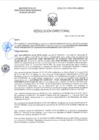 Vista preliminar de documento RD-0041-2025-DSAIA-DIRIS-LE-MINSA
