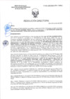Vista preliminar de documento RD-0045-2025-DSAIA-DIRIS-LE-MINSA