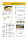 Vista preliminar de documento Boletín de abastecimiento y precio del ARROZ - 07/01/2025