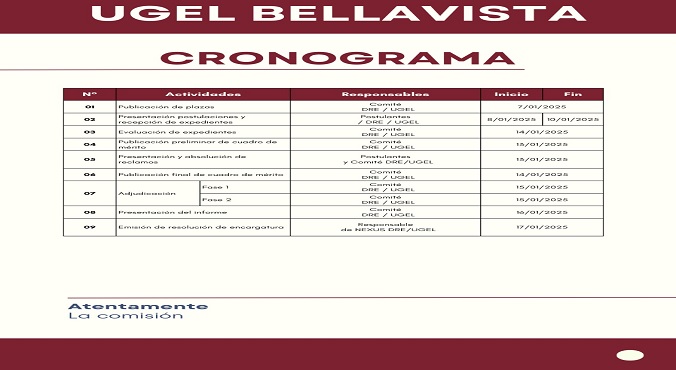 Cronograma de la convocatoria