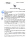 Vista preliminar de documento RD-0059-2025-DSAIA-DIRIS-LE-MINSA