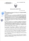 Vista preliminar de documento RD-0063-2025-DSAIA-DIRIS-LE-MINSA