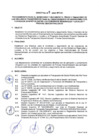 Vista preliminar de documento Directiva N°005-2024-MTC/21