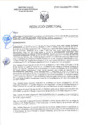 Vista preliminar de documento RD-0065-2025-DSAIA-DIRIS-LE-MINSA