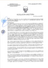 Vista preliminar de documento RD-0069-2025-DSAIA-DIRIS-LE-MINSA